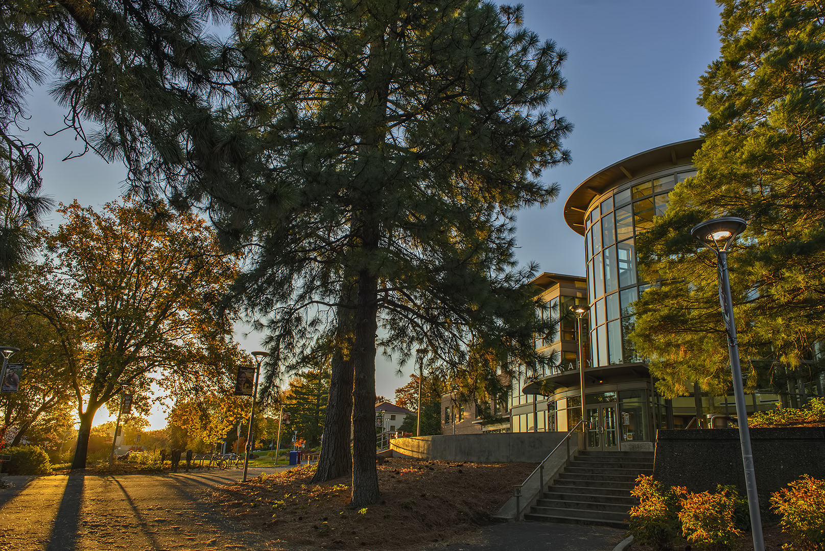 AAUP Oregon